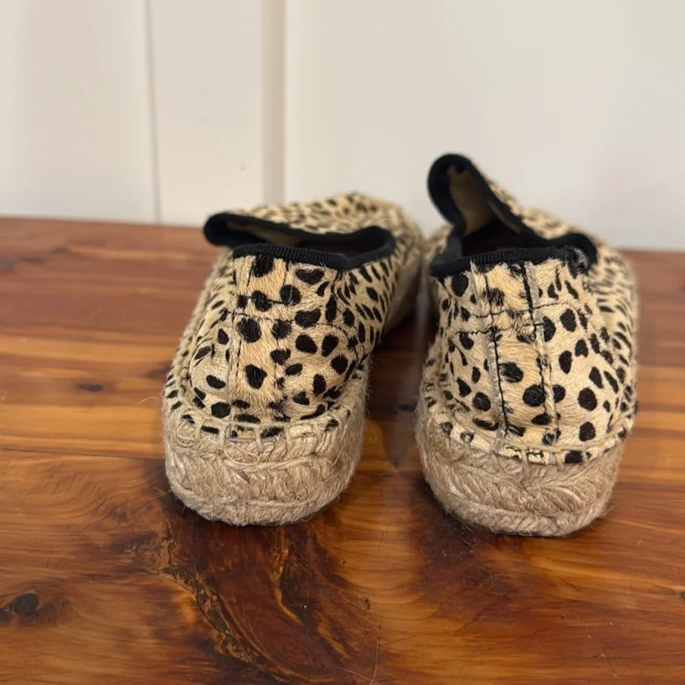 Soludos great very